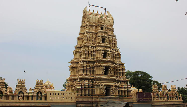 Famous Astrologer in T Narasipura